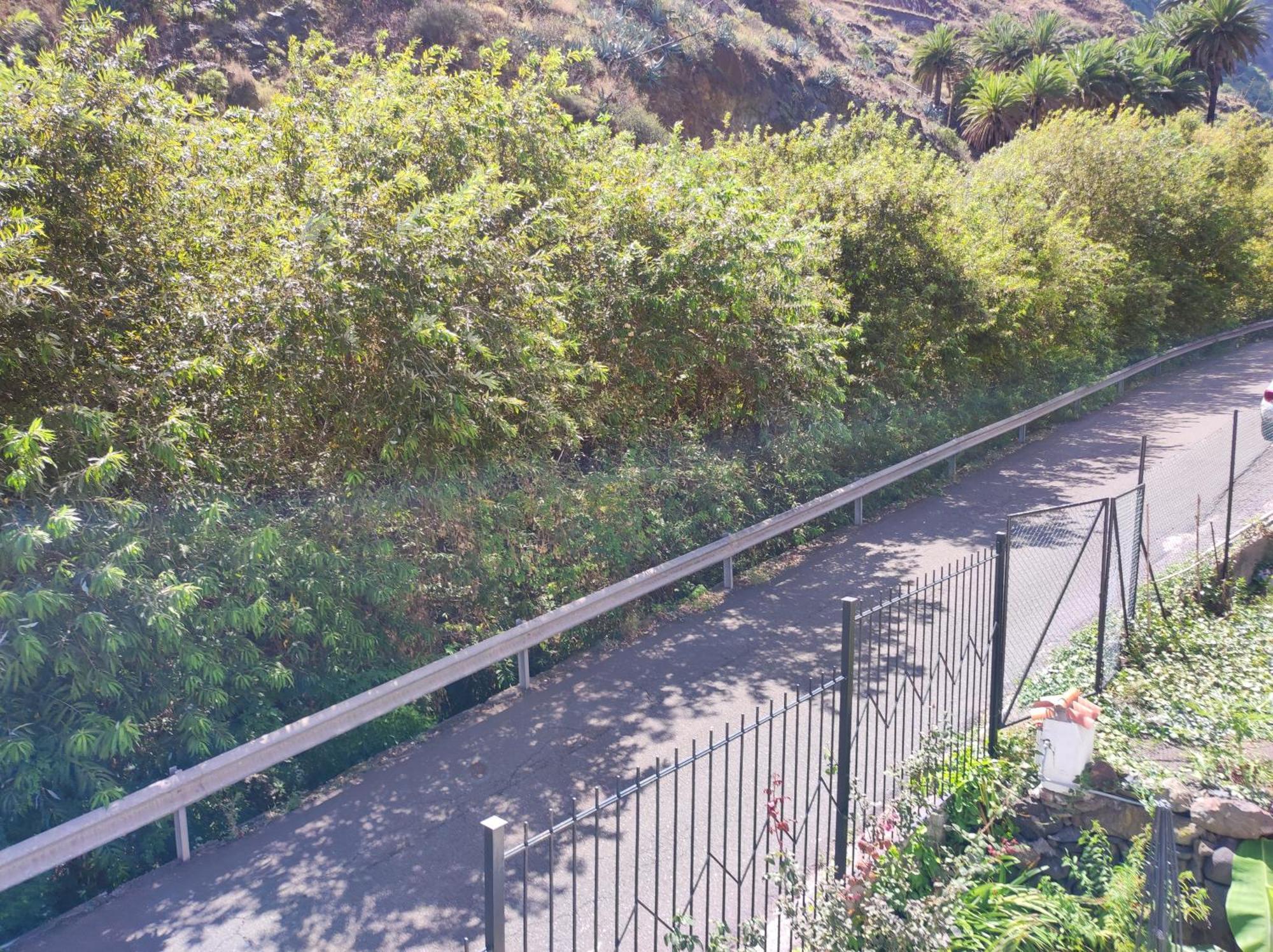 エルミグアCasa Donelaアパートメント エクステリア 写真